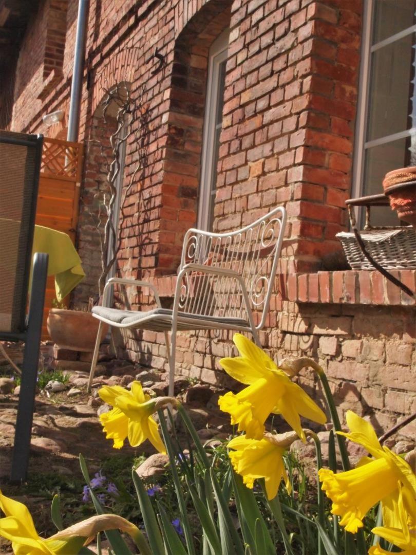 Neu Fewo Im Bauernhaus Mit Idyllischem Innenhof Und Naturgarten Mesekenhagen Екстериор снимка